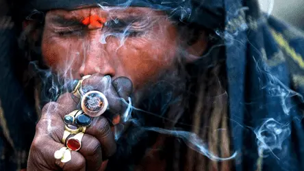 Коммунистическая партия Непала предложила легализовать марихуану