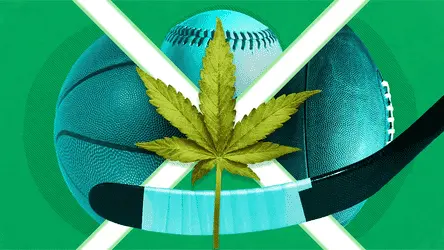 Как каннабис влияет на спортсменов: исследование