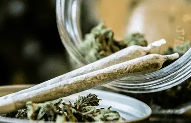 Марихуана является наиболее эффективным средством в терапии мигрени