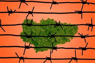 В Колорадо приняли закон, который позволит автоматически помиловать всех осуждённых за употребление травы