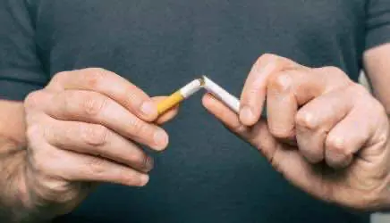 Псилоцибин показывает максимальную эффективность в борьбе с никотиновой зависимостью