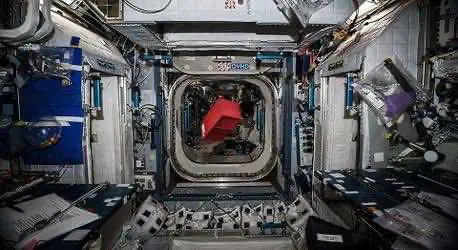 Компания-стартап планирует культивировать коноплю на околоземной орбите