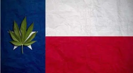 Республиканская партия Техаса официально включила декриминализацию конопли в свою избирательную платформу