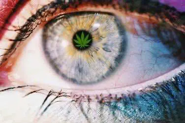 Марихуана оказывает существенное воздействие на зрение