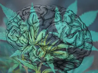 Каннабис может временно облегчать симптомы депрессии: исследование