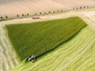 В Канаде собирают самый большой урожай травки в истории страны