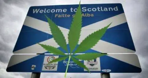 В Шотландии открывается первая клиника с медицинской марихуаной