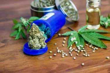 Исследование: каннабис эффективен против хронического зуда