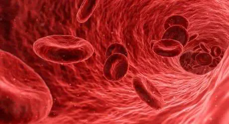 Исследование: ТГК остаётся в крови на протяжении длительного периода после употребления