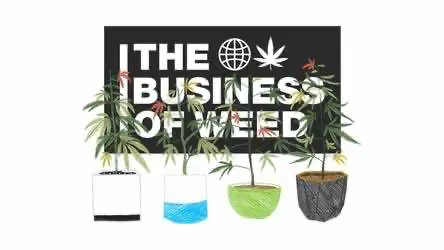 Легализацию марихуаны в США лоббируют на федеральном уровне