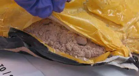 В Петербурге задержали группу наркодилеров из девяти человек