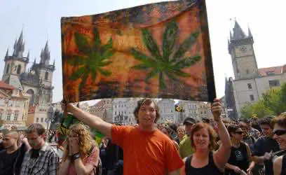 ВАДА разрешает марихуану на Олимпийских играх