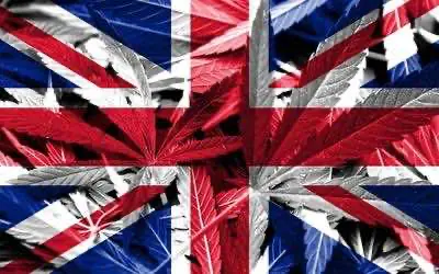 Власти Великобритании допустили распространение медицинской конопли рассматривая возможность рекреационной реформы