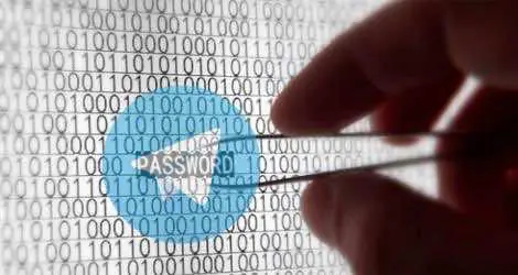 Прокуратура обязала СКР расследовать взлом Telegram-аккаунтов оппозиционеров