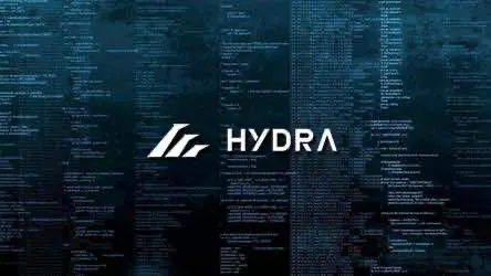 DDoS-атаки на HYDRA. Кто это делает?