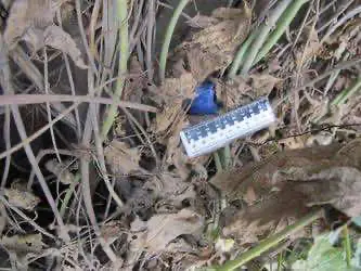 В Ростове задержали 28-летнюю «закладчицу» наркотиков