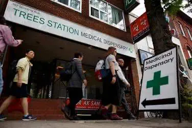 Население Канады готовится к социальным переменам, ввиду легализации конопли