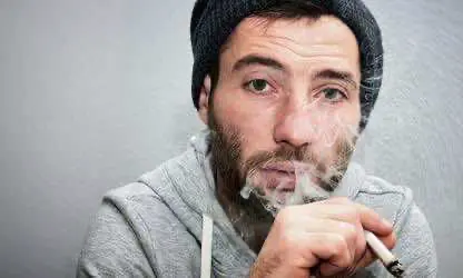 Конопляный магазин Онтарио сообщает о значительной утечке информации своих клиентов