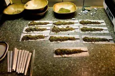 Датчанин с тысячей косяков марихуаны перепутал полицейскую машину с такси