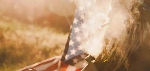 Парламент Техаса приступил к рассмотрению билля о декриминализации конопли