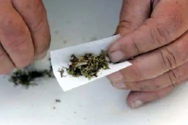 Парламент Пенсильвании готовится к рассмотрению билля о легализации; Флорида легализовала курение растения