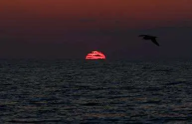 Береговая охрана Коста-Рики задержала судно с тонной кокаина на борту