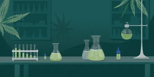 Американская компания тестирует средство от передозировки каннабисом