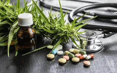 Каннабис приносит долгосрочные улучшения пациентам с хронической болью: исследование