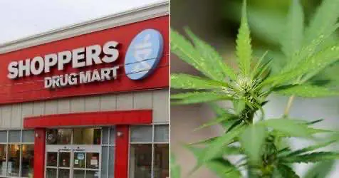 Сеть Аптек Shoppers Drug Mart в Канаде начнёт продавать легальную терапевтическую коноплю в интернете