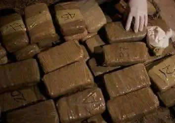 В Перми полицейские изъяли около 50 кг гашиша на 12 млн руб