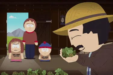 В США подросток курил траву и смотрел Южный парк, когда ехал за рулём