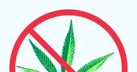 МВД России считает, что легализация марихуаны ведет к росту преступности