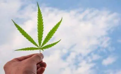 Новая Зеландия: Небольшой шаг, но вперёд к легализации 