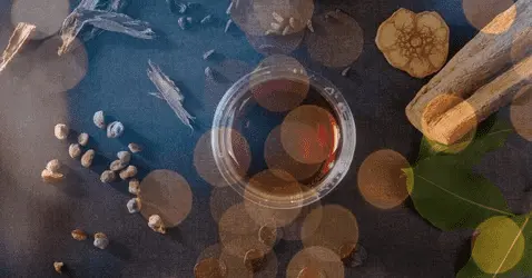 Итальянские активисты собрали более полумиллиона подписей в поддержку декриминализации каннабиса и энтеогенов