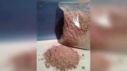 Двое россиян, устроивших нарколабораторию, задержаны в Белоруссии