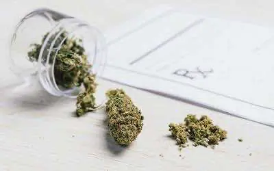 Комитет ООН нашёл коноплю «удивительно» эффективным и безопасным лекарством