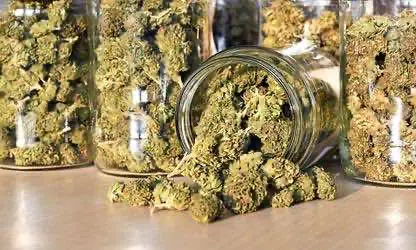 Сотрудник департамента шерифа Лос-Анджелеса подозревается в ограблении склада легальной конопли