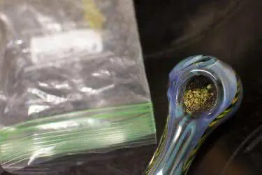 Сайт, посвящённый травке, наймёт счастливчика за 36 000 долларов в год