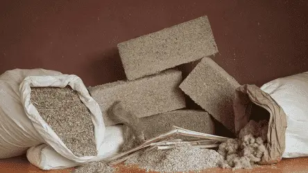 Кирпичи из конопли могут стать экологически чистой альтернативой бетону