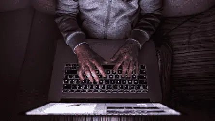 Пандемия COVID-19 повысила продажи марихуаны на европейских чёрных рынках: исследование