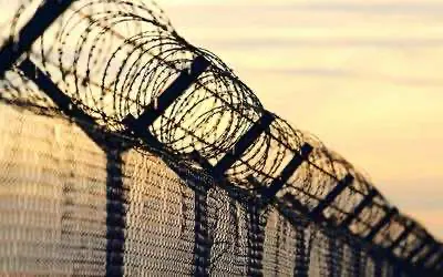 Сан-Франциско проведёт амнистию для конопляных нарушителей