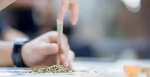 Правительство Канады тестирует сточные воды крупных городов на наличие метаболитов конопли