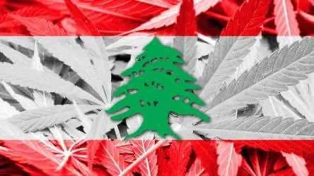 Ливан легализует медицинский каннабис