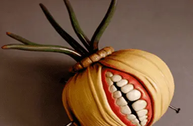 Арестован оператор выходного узла Tor в России