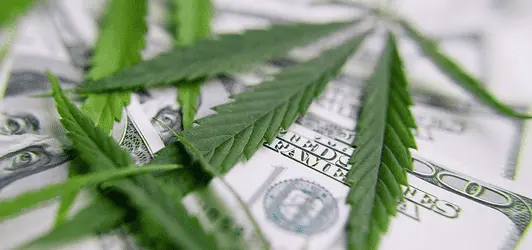 Легальный каннабис может принести экономике США 92 миллиарда долларов в этом году