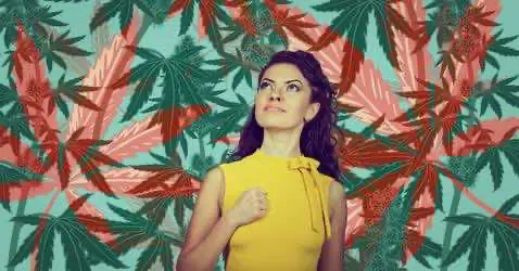 Почему каннабис становится всё популярнее среди женщин?