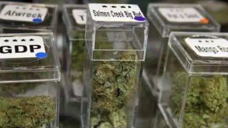 Легальные продажи марихуаны в США выросли в 2017 году на 30%