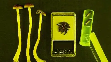 Паллиативная медицина начинает применение псилоцибина