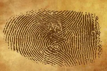 Учёные нашли способ определять употребление кокаина по отпечаткам пальцев