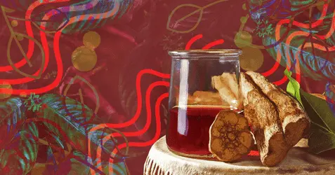 Терапевтический эффект аяхуаски может длиться до полугода: исследование